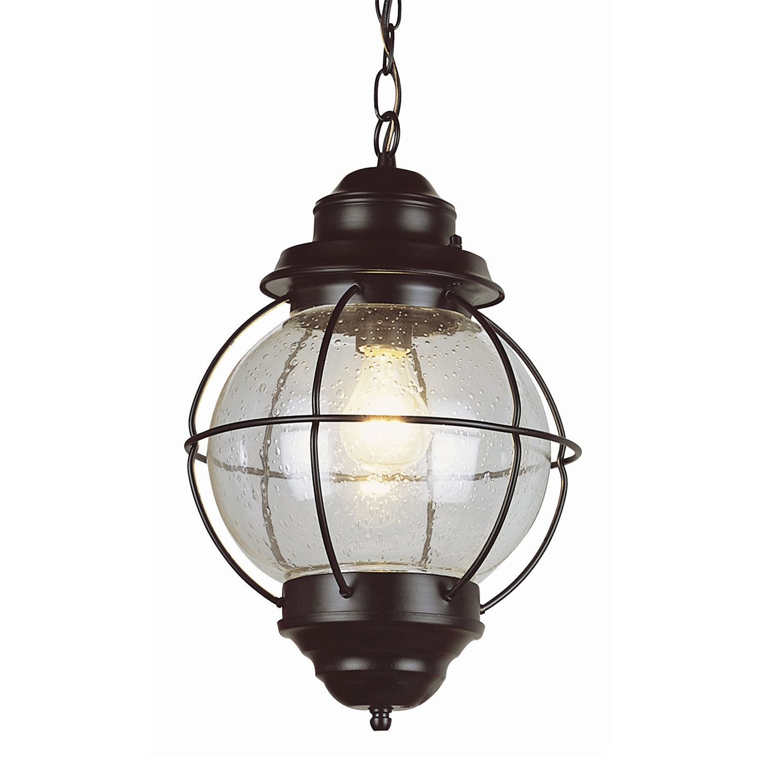 Transglobe Lighting Outdoor Onion 1 Light Hanging Lantern 69903 Rbz