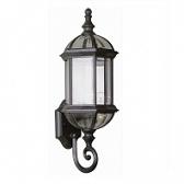 TransGlobe Lighting Outdoor 1 Light Wall Lantern In Black