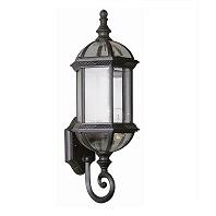 TransGlobe Lighting Outdoor 1 Light Wall Lantern In Black